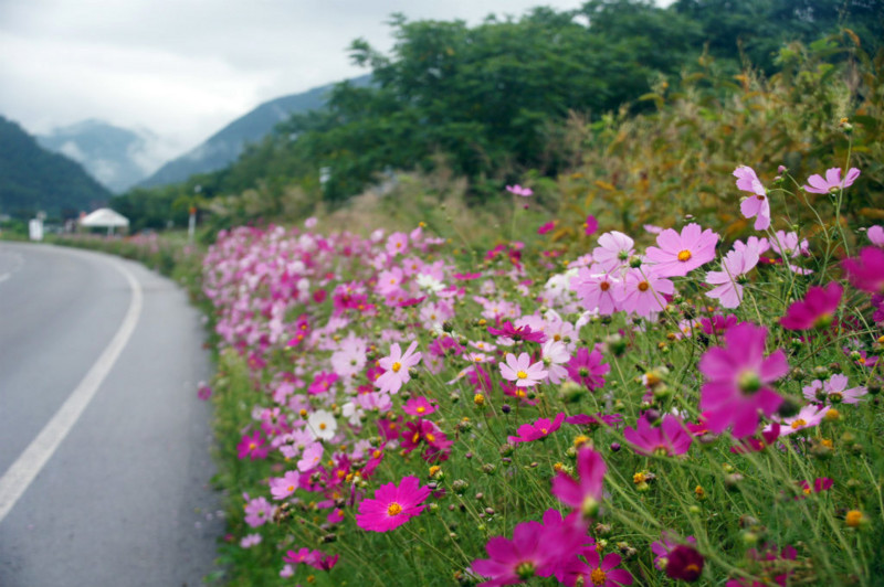 f:id:hashiba511:20140830185927j:image