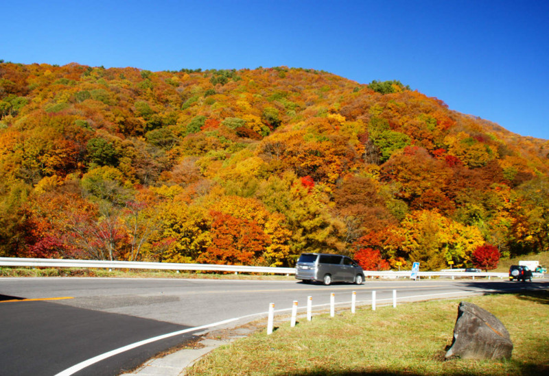 f:id:hashiba511:20141029052837j:image