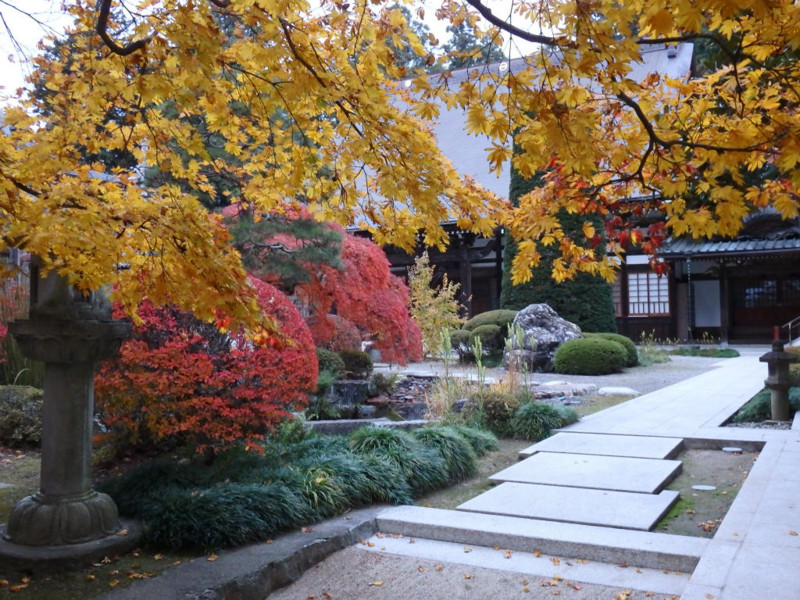 f:id:hashiba511:20141112075241j:image
