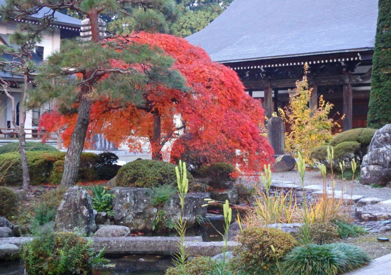 f:id:hashiba511:20141112075243j:image