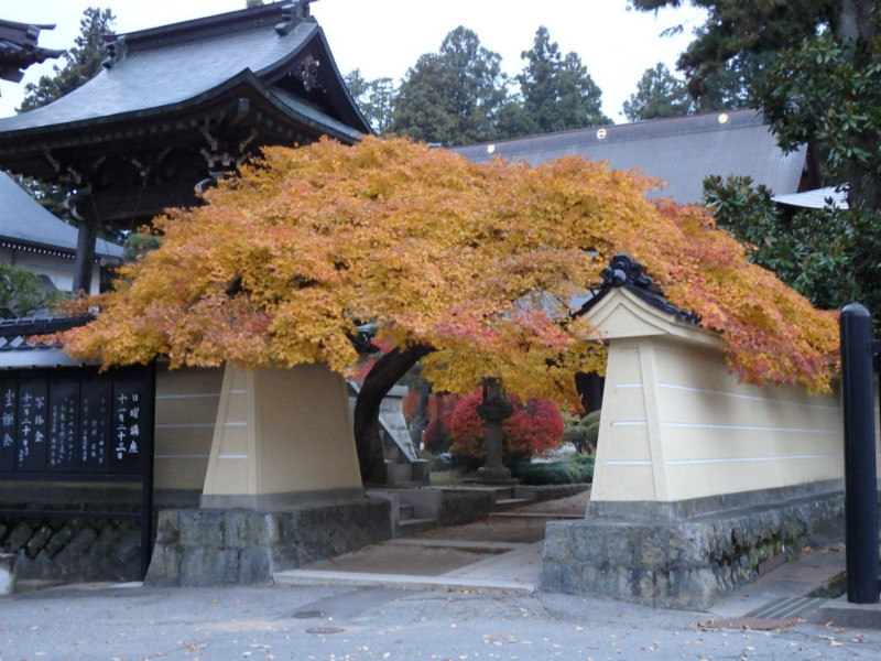 f:id:hashiba511:20141112075505j:image