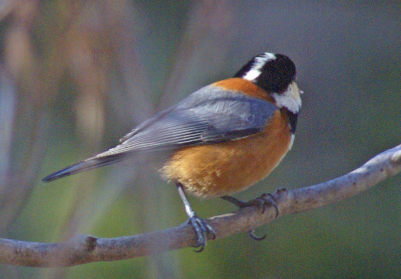 f:id:hashiba511:20150109181036j:image