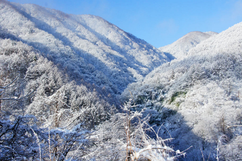 f:id:hashiba511:20150117124704j:image