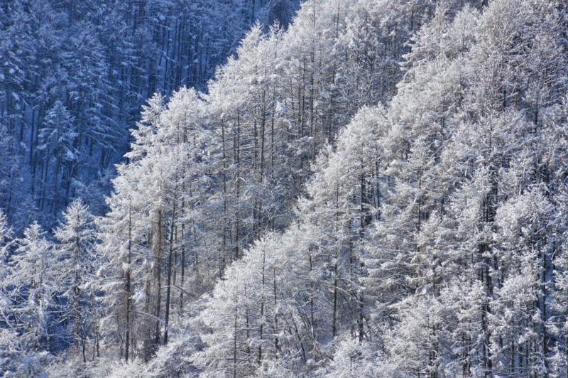 f:id:hashiba511:20150117124706j:image