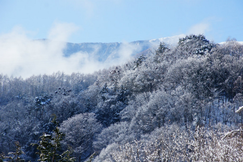 f:id:hashiba511:20150117124708j:image