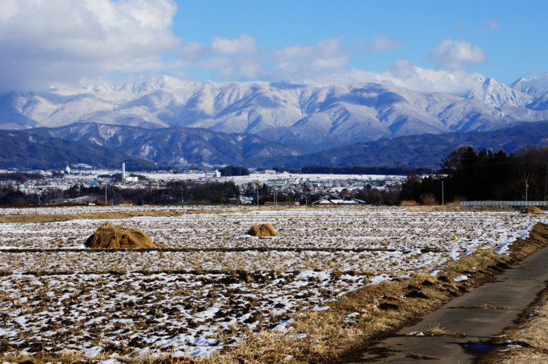 f:id:hashiba511:20150124051533j:image