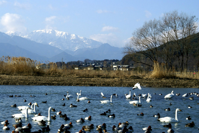 f:id:hashiba511:20150207184434j:image