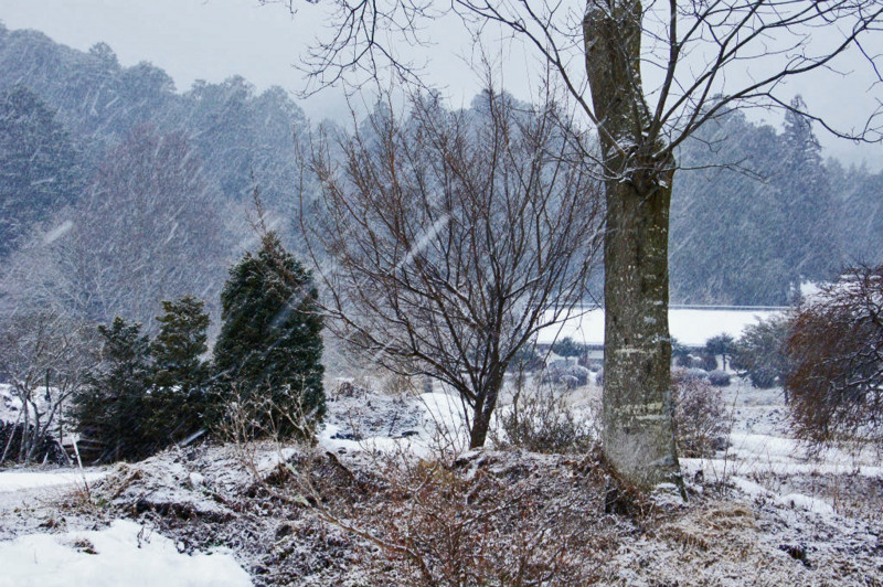 f:id:hashiba511:20150209062758j:image