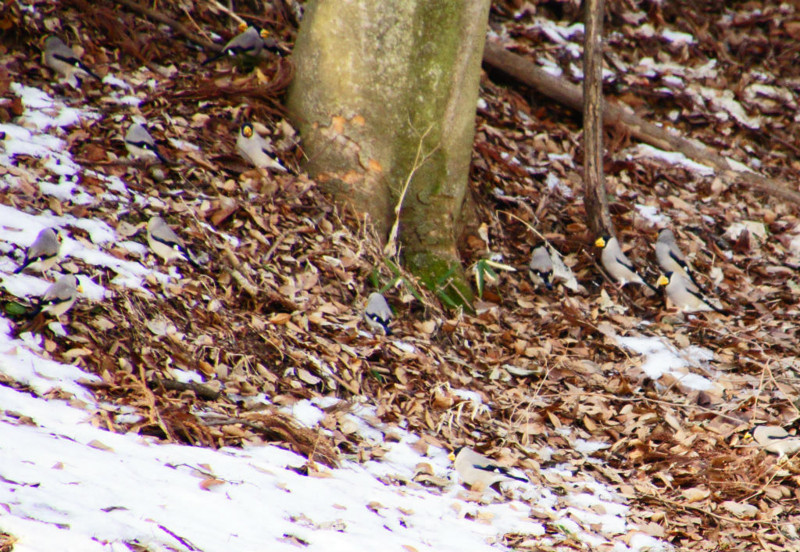 f:id:hashiba511:20150217024724j:image f:id:hashiba511:20150217024724j:image