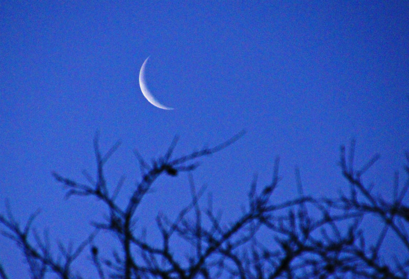 f:id:hashiba511:20150217024728j:image f:id:hashiba511:20150217024728j:image