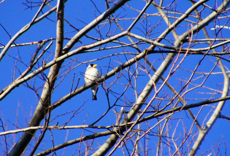 f:id:hashiba511:20150217030001j:image f:id:hashiba511:20150217030001j:image