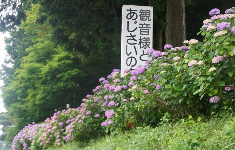 f:id:hashiba511:20150706062853j:image