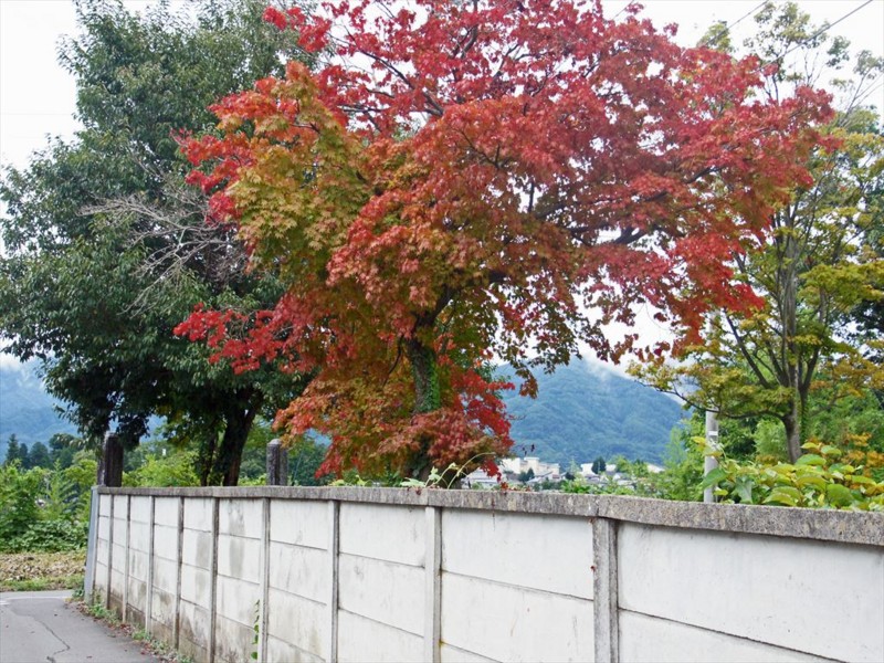 f:id:hashiba511:20150901180320j:image