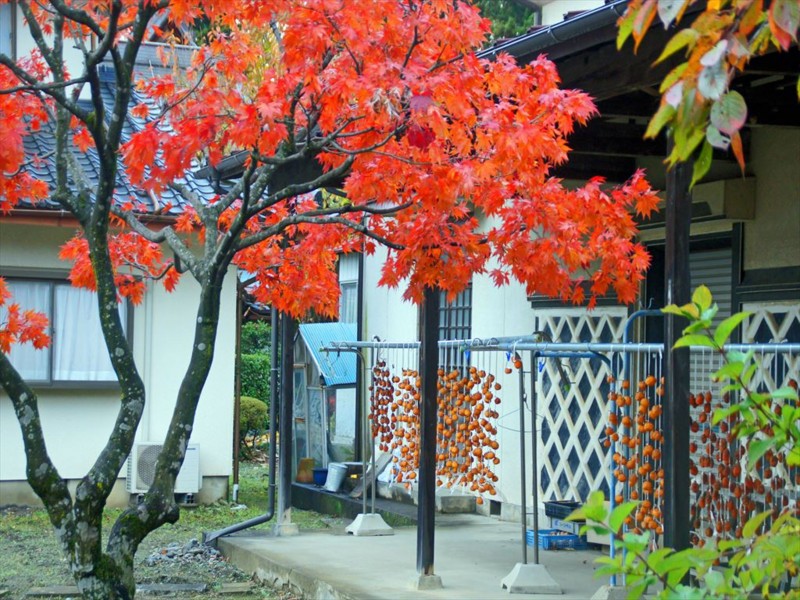 f:id:hashiba511:20151120023716j:image