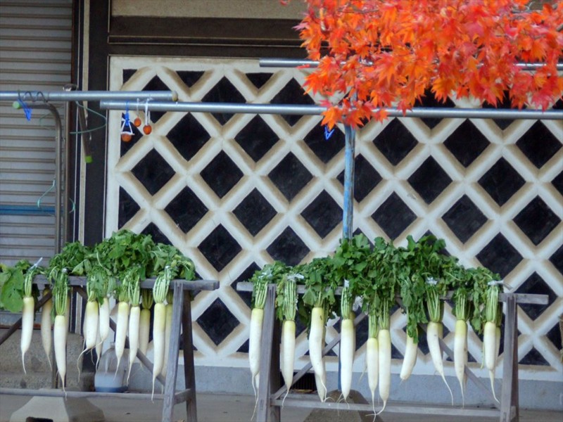f:id:hashiba511:20151120075325j:image