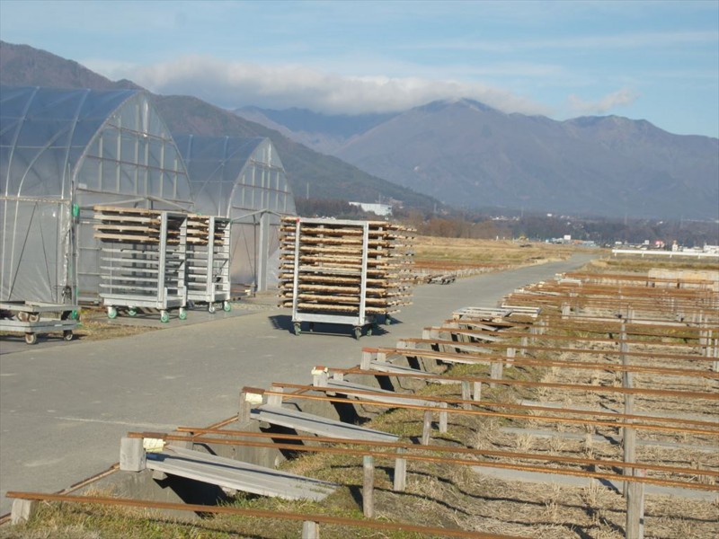 f:id:hashiba511:20160111065247j:image