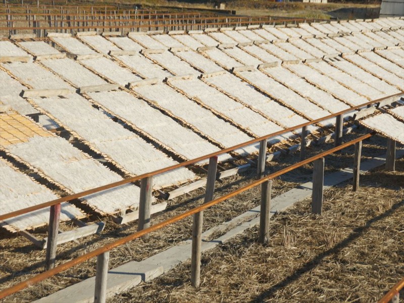 f:id:hashiba511:20160111065250j:image