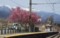20160401042225