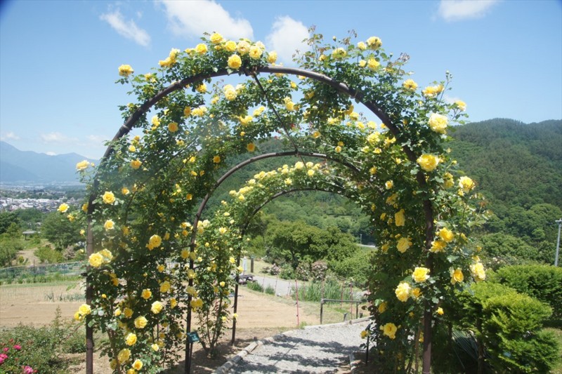 f:id:hashiba511:20160603032852j:image