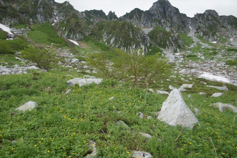 f:id:hashiba511:20160630054712j:image