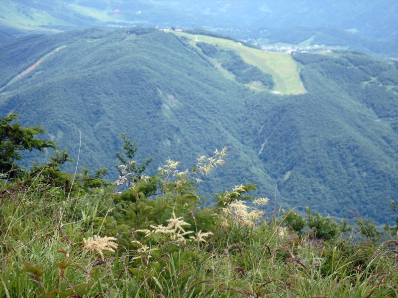 f:id:hashiba511:20160713041600j:image