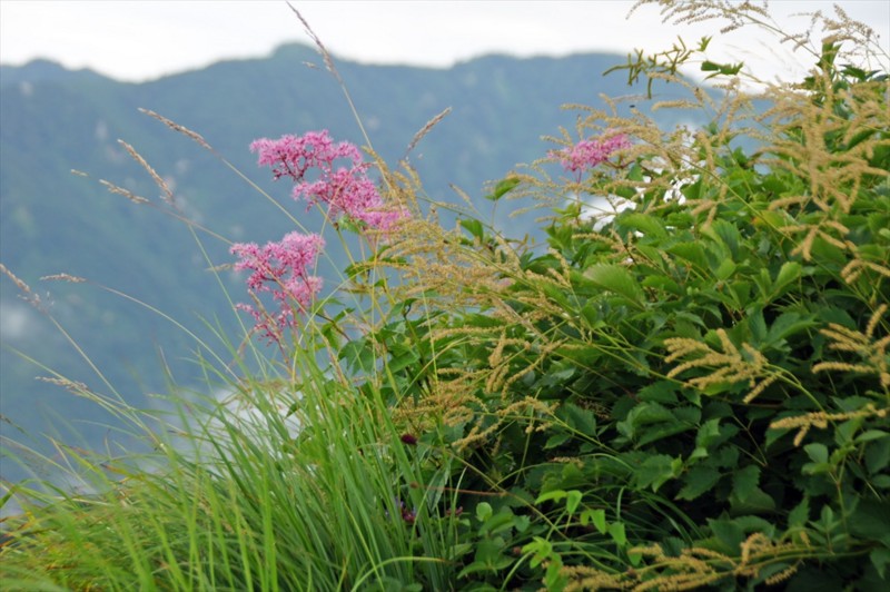 f:id:hashiba511:20160713041604j:image