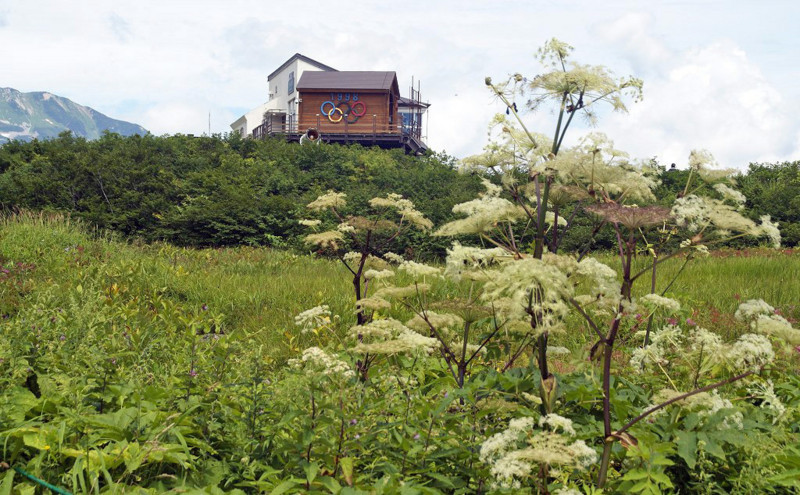 f:id:hashiba511:20160713041606j:image