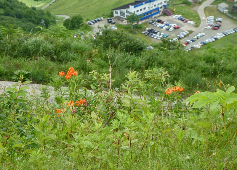 f:id:hashiba511:20160713042431j:image