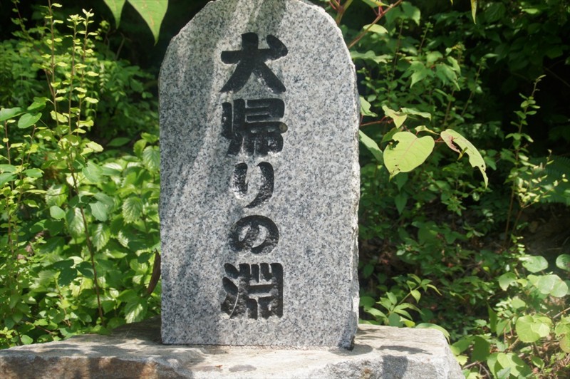 f:id:hashiba511:20160727054639j:image f:id:hashiba511:20160727054639j:image