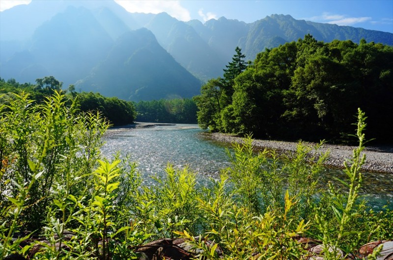 f:id:hashiba511:20160802081428j:image f:id:hashiba511:20160802081428j:image