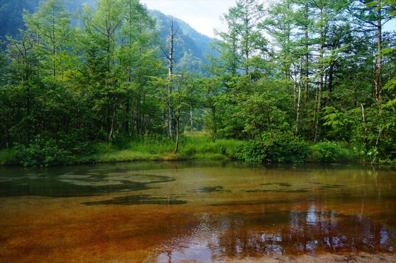 f:id:hashiba511:20160802081429j:image f:id:hashiba511:20160802081429j:image