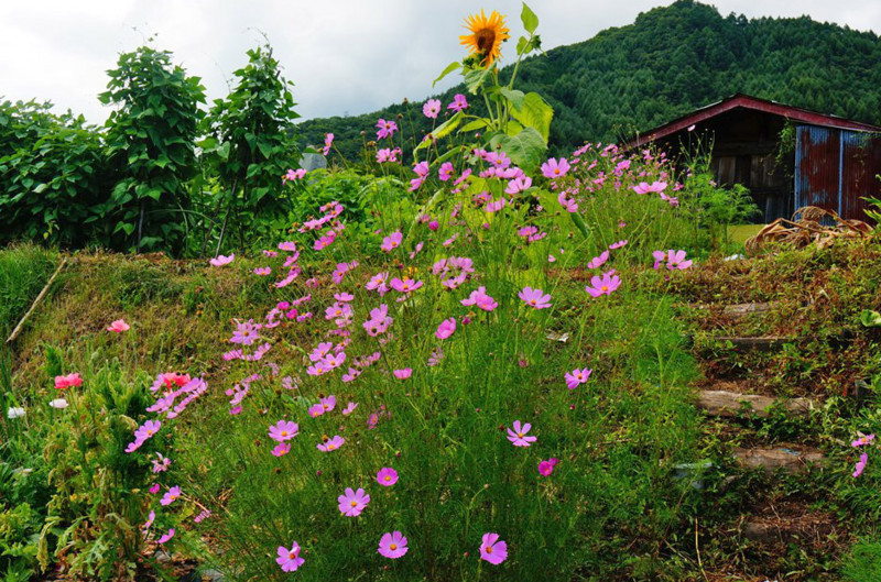 f:id:hashiba511:20160819070330j:image f:id:hashiba511:20160819070330j:image