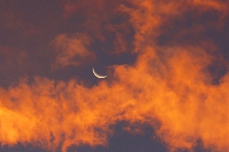 f:id:hashiba511:20160829075819j:image