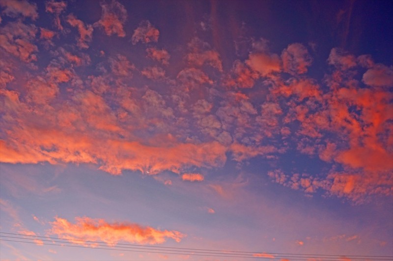 f:id:hashiba511:20160829075821j:image