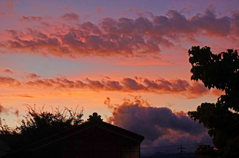 f:id:hashiba511:20160829075822j:image