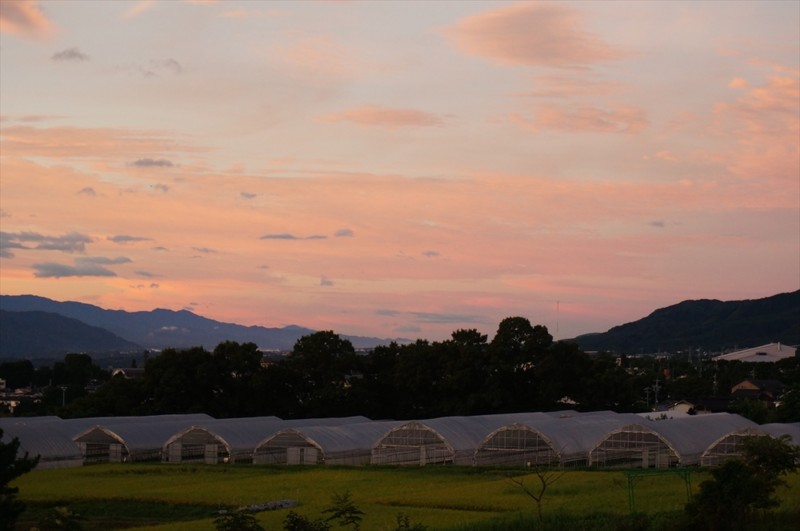 f:id:hashiba511:20160829075824j:image