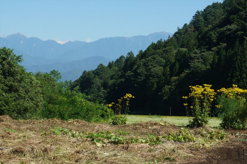 f:id:hashiba511:20160903054112j:image f:id:hashiba511:20160903054112j:image