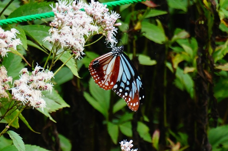 f:id:hashiba511:20160916041920j:image f:id:hashiba511:20160916041920j:image