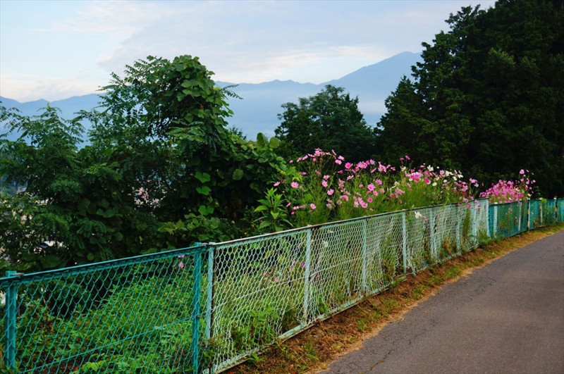 f:id:hashiba511:20160917073743j:image f:id:hashiba511:20160917073743j:image