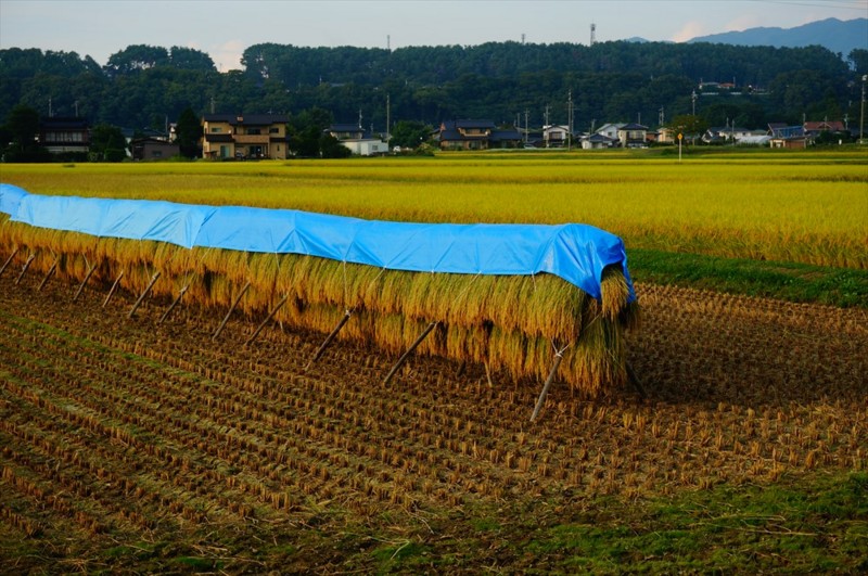 f:id:hashiba511:20160920040808j:image