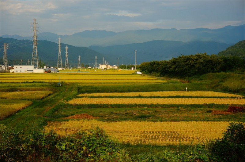 f:id:hashiba511:20160920040811j:image