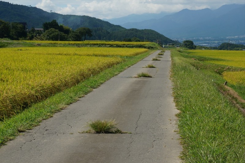 f:id:hashiba511:20160920042237j:image