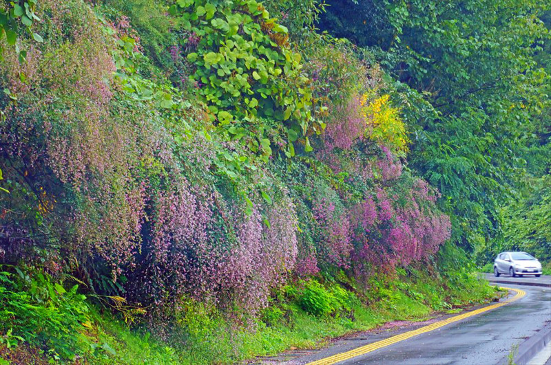 f:id:hashiba511:20160930195251j:image