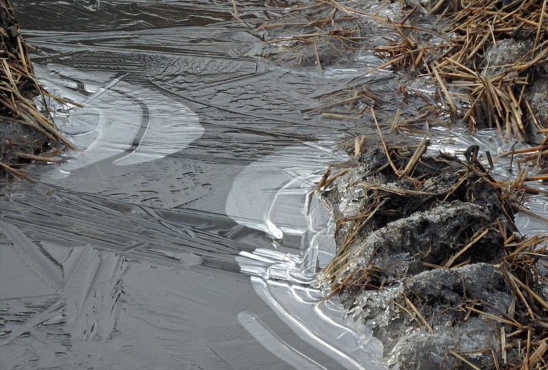 f:id:hashiba511:20161226055000j:image