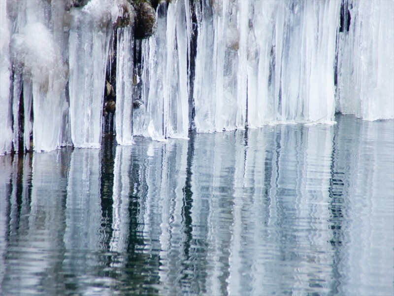 f:id:hashiba511:20170127081335j:image