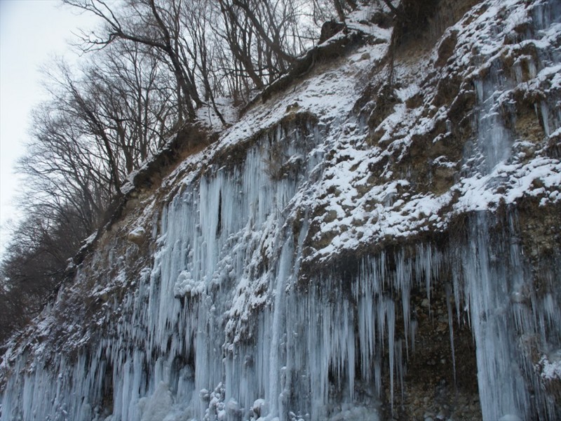 f:id:hashiba511:20170127081340j:image