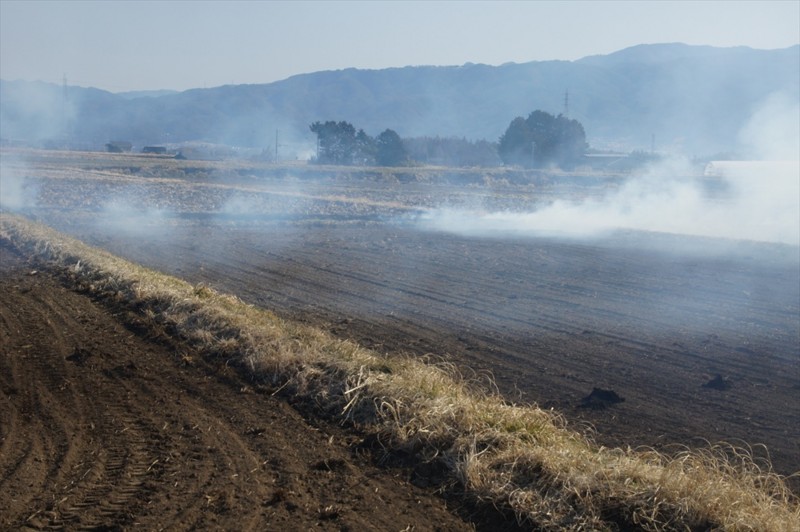 f:id:hashiba511:20170318170303j:image