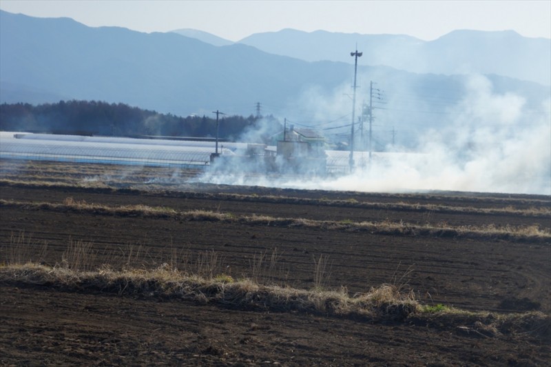 f:id:hashiba511:20170318170305j:image