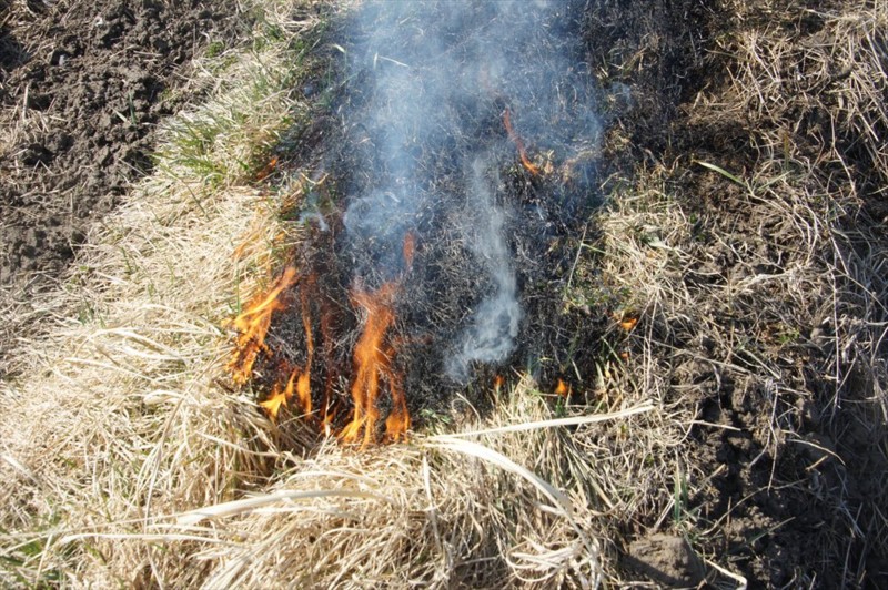 f:id:hashiba511:20170318170308j:image