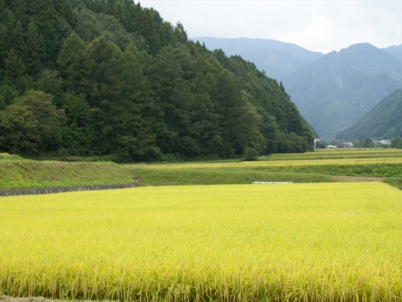 f:id:hashiba511:20170914043550j:image